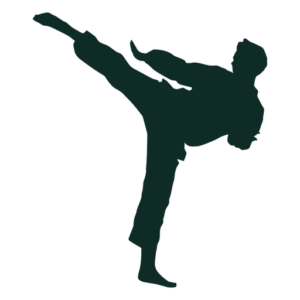 karate 1